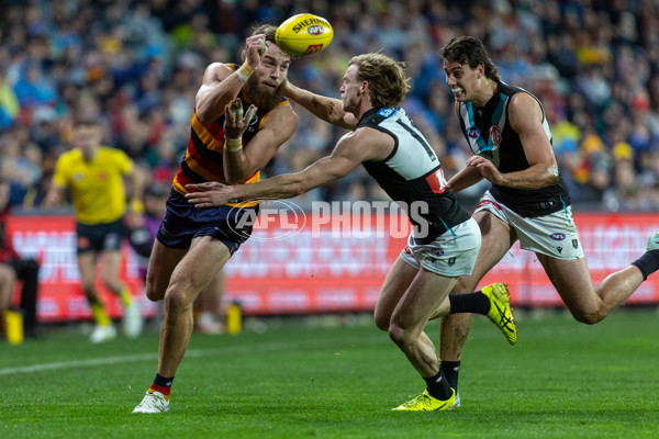 AFL 2025 Round 20 - Adelaide v Port Adelaide - A-60791005