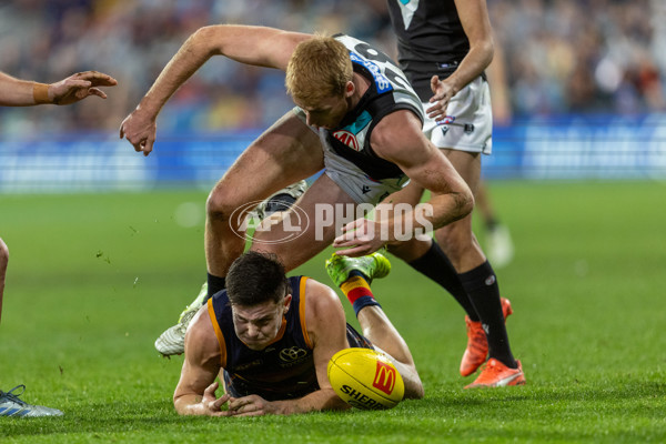 AFL 2025 Round 20 - Adelaide v Port Adelaide - A-60791298