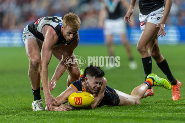 AFL 2025 Round 20 - Adelaide v Port Adelaide - A-60791300