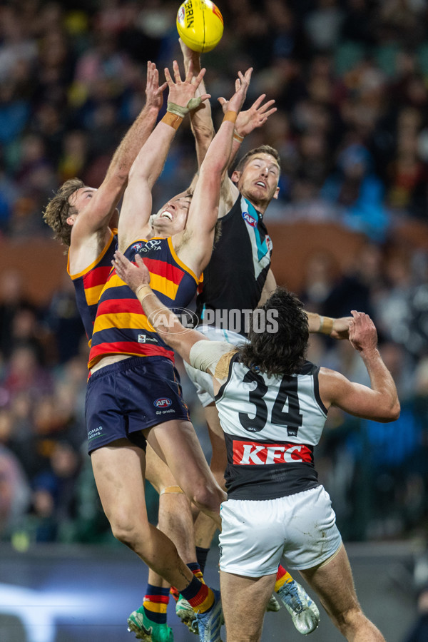 AFL 2025 Round 20 - Adelaide v Port Adelaide - A-60791301