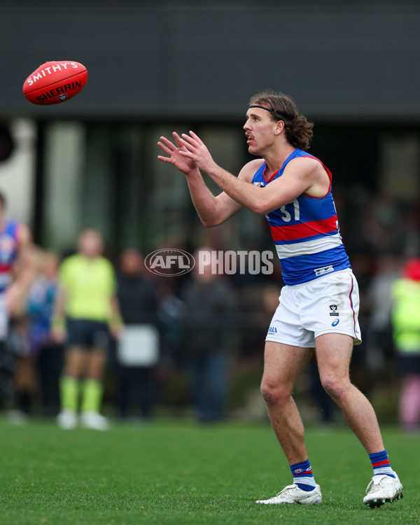 VFL 2025 Round 18 - Essendon v Footscray Bulldogs - A-60793243