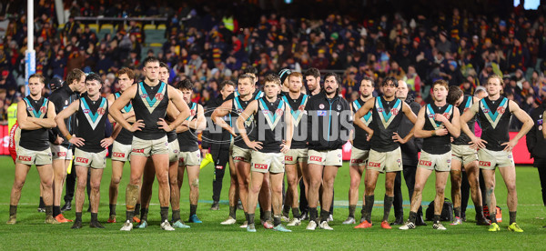 AFL 2025 Round 20 - Adelaide v Port Adelaide - A-60793281