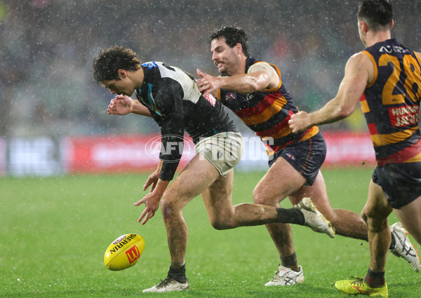 AFL 2025 Round 20 - Adelaide v Port Adelaide - A-60793290
