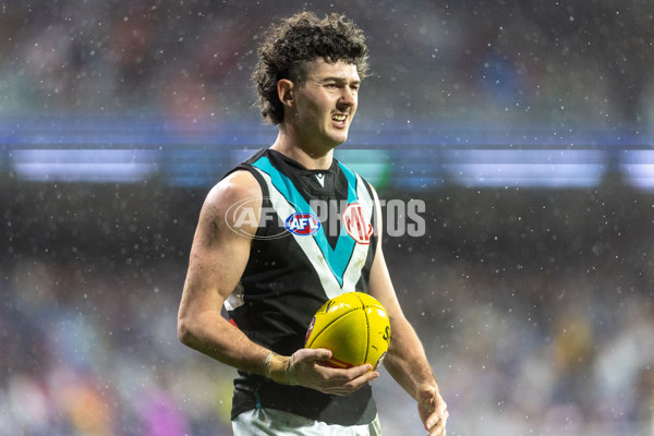 AFL 2025 Round 20 - Adelaide v Port Adelaide - A-60793292
