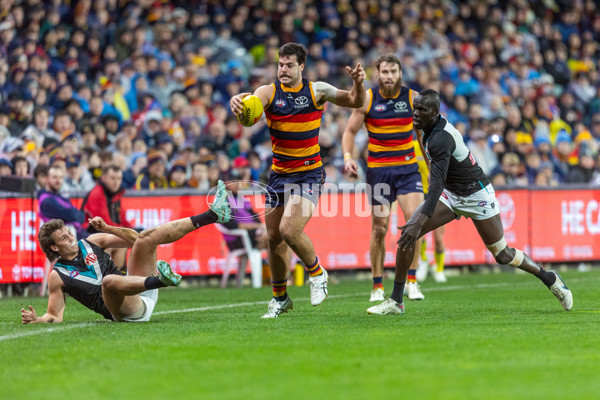 AFL 2025 Round 20 - Adelaide v Port Adelaide - A-60793297