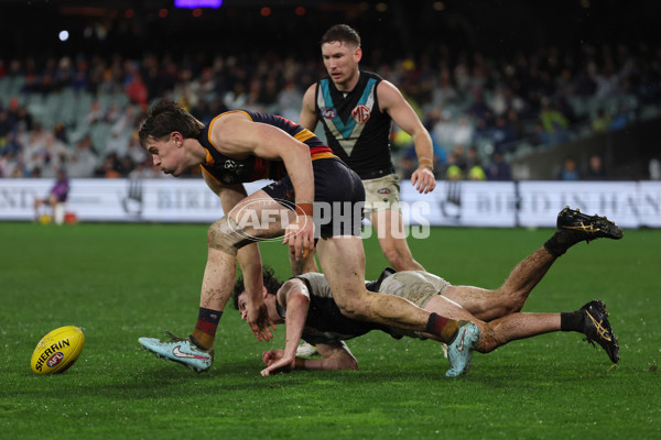 AFL 2025 Round 20 - Adelaide v Port Adelaide - A-60793298