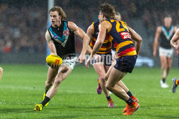 AFL 2025 Round 20 - Adelaide v Port Adelaide - A-60793299