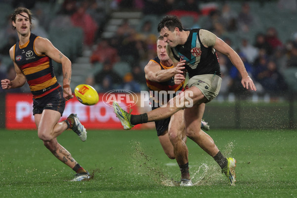AFL 2025 Round 20 - Adelaide v Port Adelaide - A-60793300