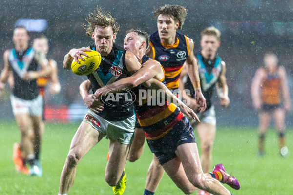 AFL 2025 Round 20 - Adelaide v Port Adelaide - A-60793302