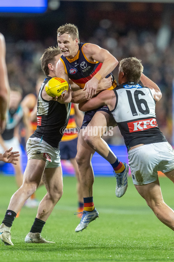 AFL 2025 Round 20 - Adelaide v Port Adelaide - A-60793304