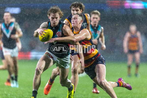 AFL 2025 Round 20 - Adelaide v Port Adelaide - A-60793306