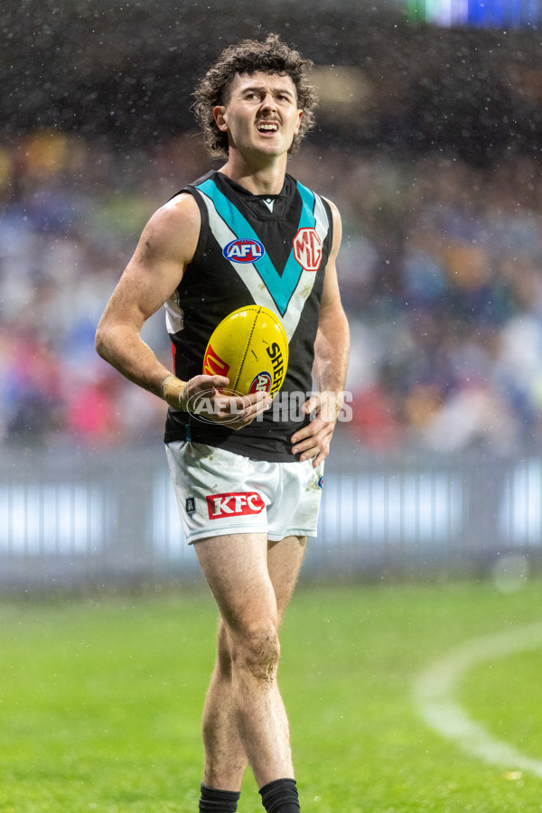 AFL 2025 Round 20 - Adelaide v Port Adelaide - A-60793307