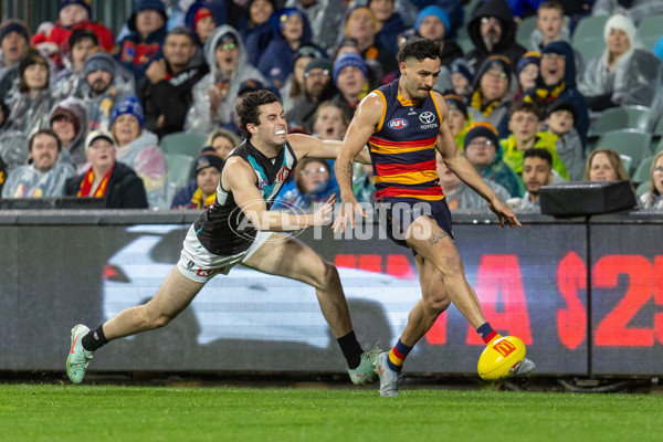 AFL 2025 Round 20 - Adelaide v Port Adelaide - A-60794272