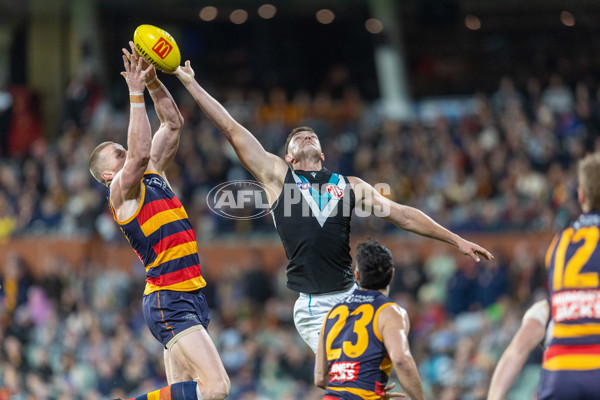 AFL 2025 Round 20 - Adelaide v Port Adelaide - A-60794274