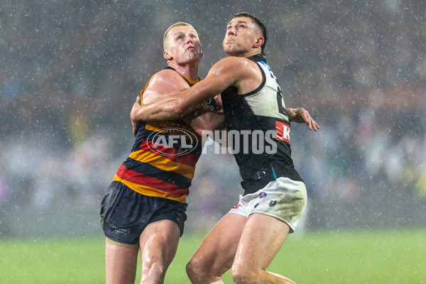 AFL 2025 Round 20 - Adelaide v Port Adelaide - A-60794278