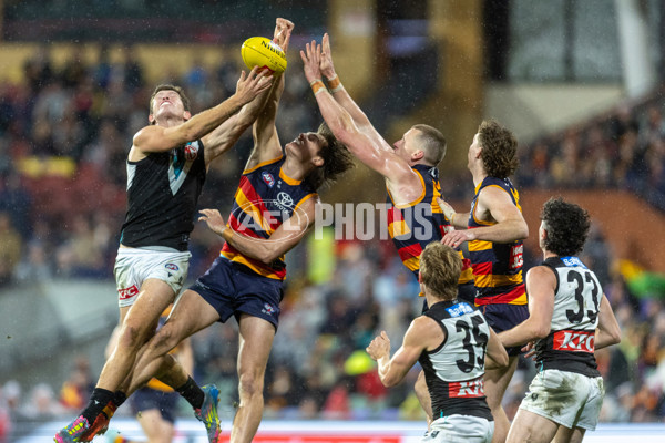AFL 2025 Round 20 - Adelaide v Port Adelaide - A-60794300