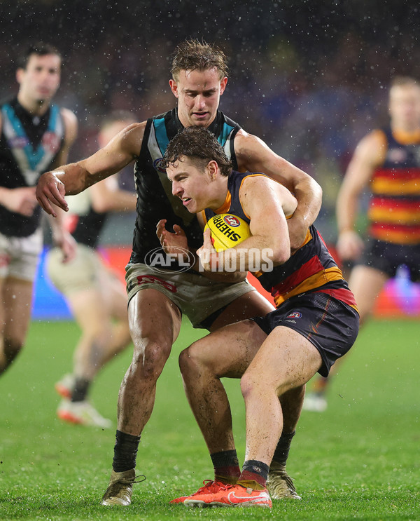 AFL 2025 Round 20 - Adelaide v Port Adelaide - A-60794319