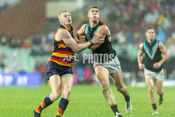 AFL 2025 Round 20 - Adelaide v Port Adelaide - A-60794320