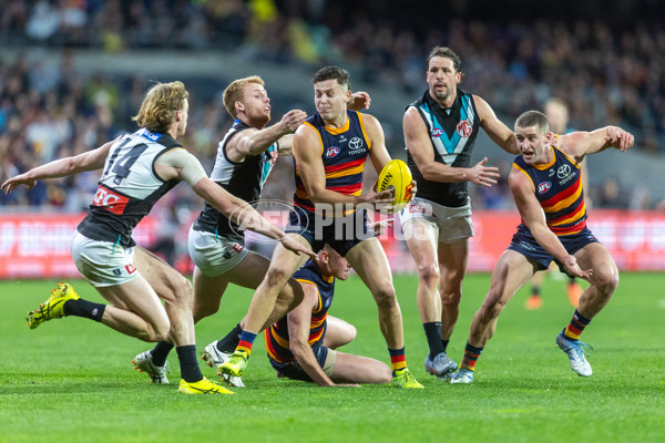 AFL 2025 Round 20 - Adelaide v Port Adelaide - A-60795654