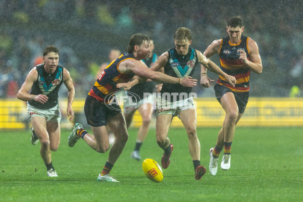 AFL 2025 Round 20 - Adelaide v Port Adelaide - A-60795670
