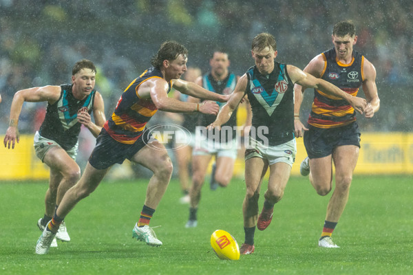 AFL 2025 Round 20 - Adelaide v Port Adelaide - A-60795672