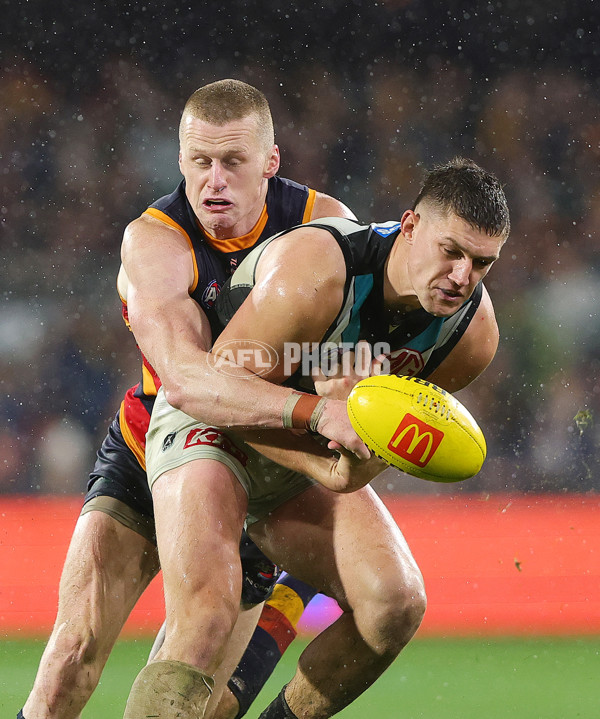 AFL 2025 Round 20 - Adelaide v Port Adelaide - A-60795673