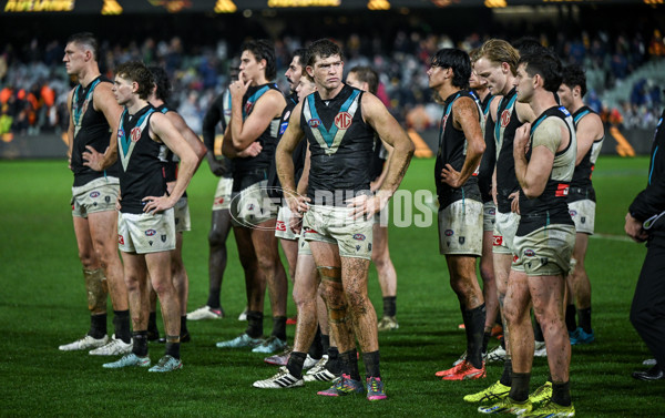 AFL 2025 Round 20 - Adelaide v Port Adelaide - A-60795698