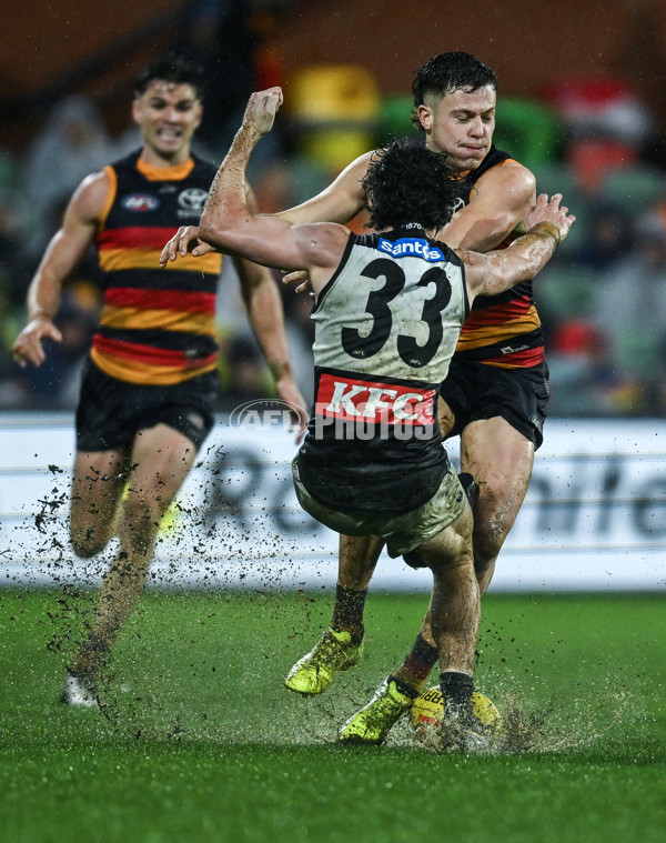 AFL 2025 Round 20 - Adelaide v Port Adelaide - A-60795712