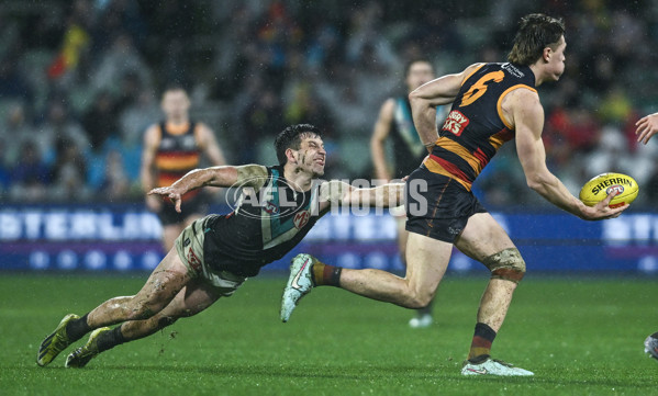 AFL 2025 Round 20 - Adelaide v Port Adelaide - A-60795713