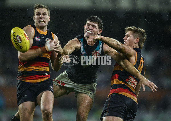 AFL 2025 Round 20 - Adelaide v Port Adelaide - A-60795715