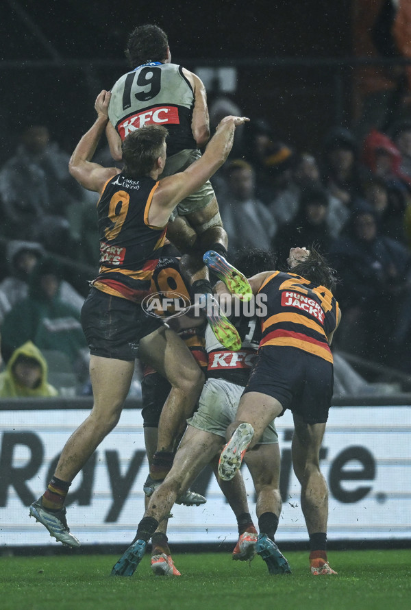 AFL 2025 Round 20 - Adelaide v Port Adelaide - A-60795721