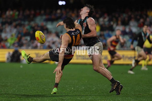 AFL 2025 Round 20 - Adelaide v Port Adelaide - A-60795729