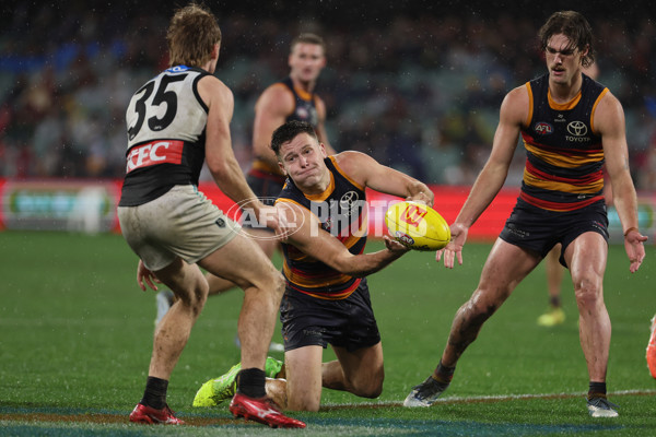 AFL 2025 Round 20 - Adelaide v Port Adelaide - A-60795737