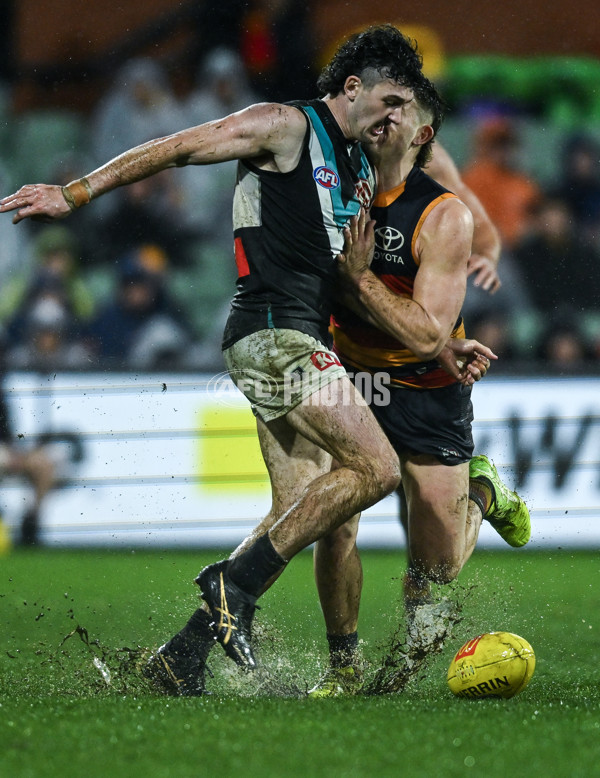 AFL 2025 Round 20 - Adelaide v Port Adelaide - A-60796578