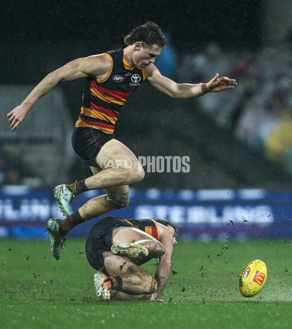 AFL 2025 Round 20 - Adelaide v Port Adelaide - A-60796582