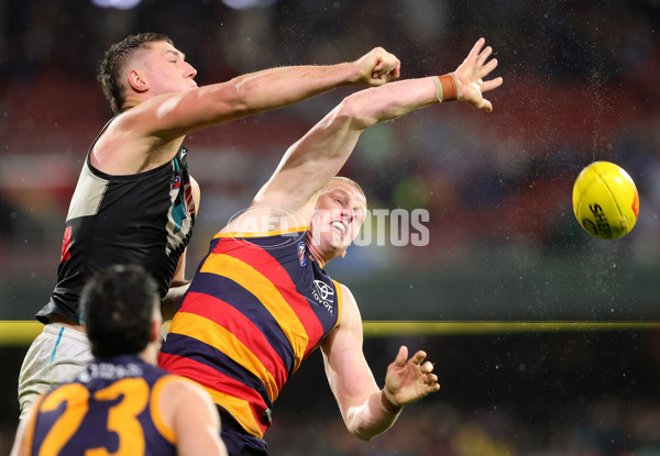 AFL 2025 Round 20 - Adelaide v Port Adelaide - A-60796614
