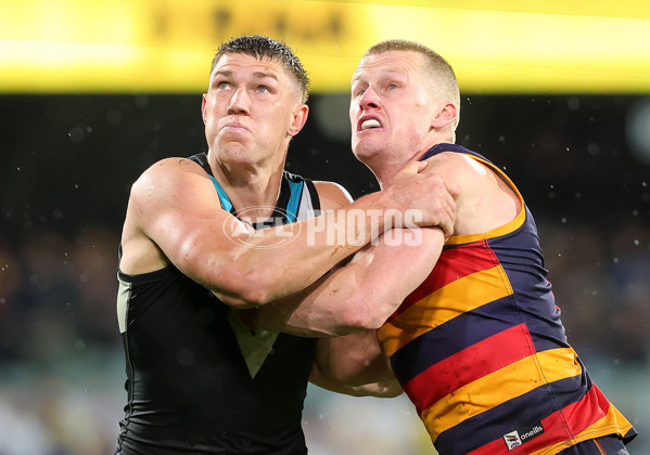 AFL 2025 Round 20 - Adelaide v Port Adelaide - A-60796618