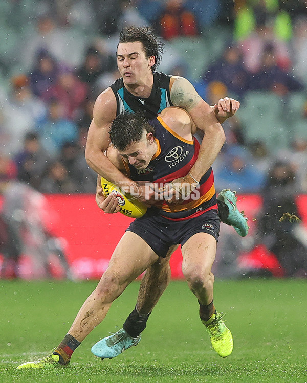 AFL 2025 Round 20 - Adelaide v Port Adelaide - A-60796632