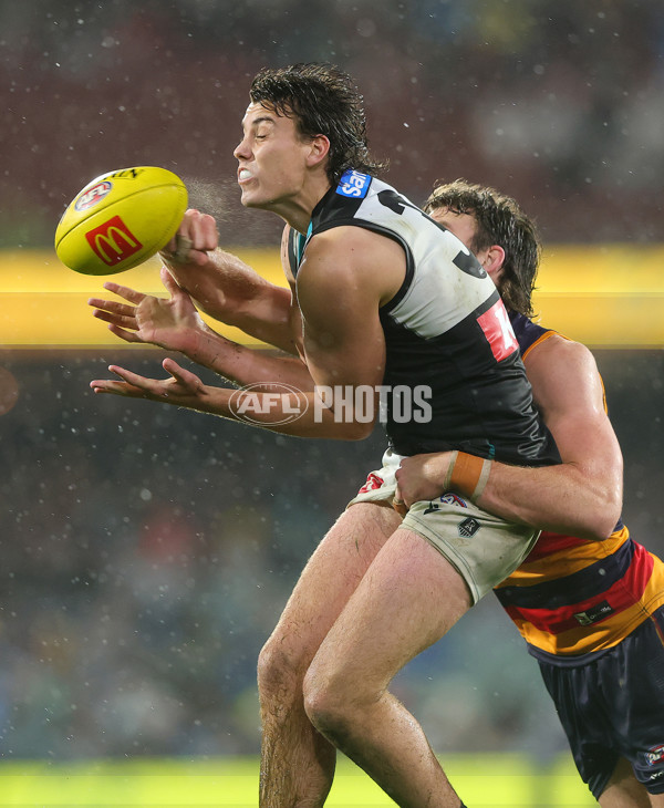 AFL 2025 Round 20 - Adelaide v Port Adelaide - A-60796638