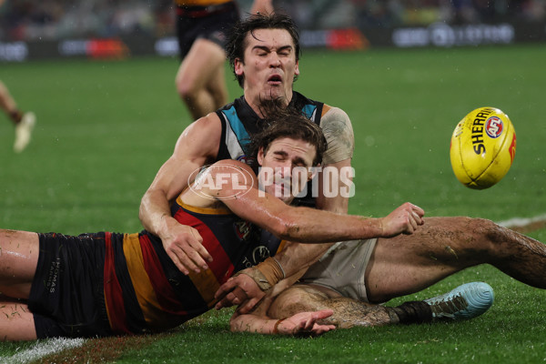 AFL 2025 Round 20 - Adelaide v Port Adelaide - A-60798162
