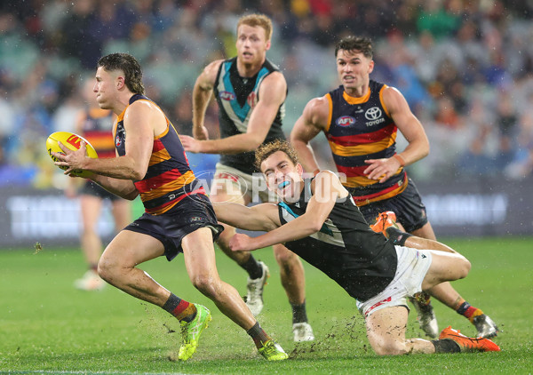 AFL 2025 Round 20 - Adelaide v Port Adelaide - A-60798174
