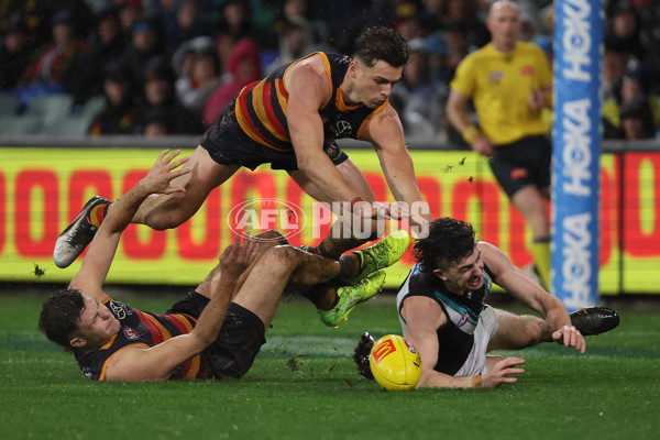 AFL 2025 Round 20 - Adelaide v Port Adelaide - A-60798185