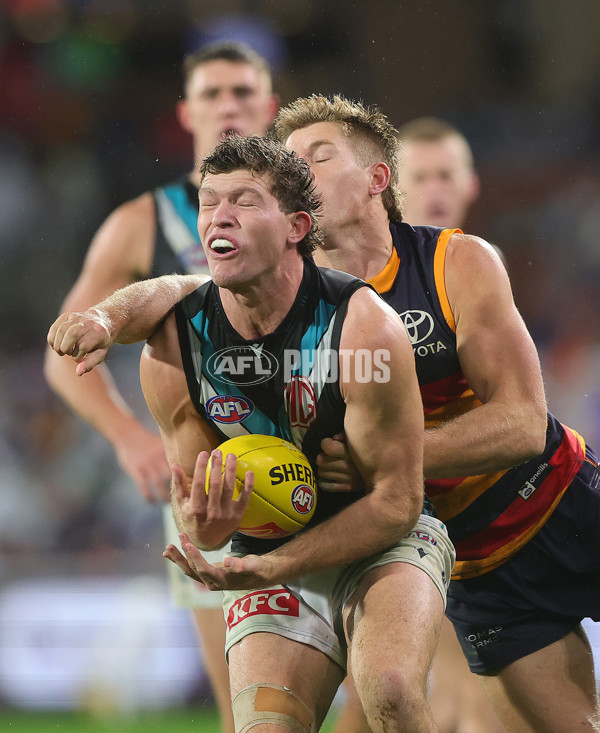 AFL 2025 Round 20 - Adelaide v Port Adelaide - A-60798215
