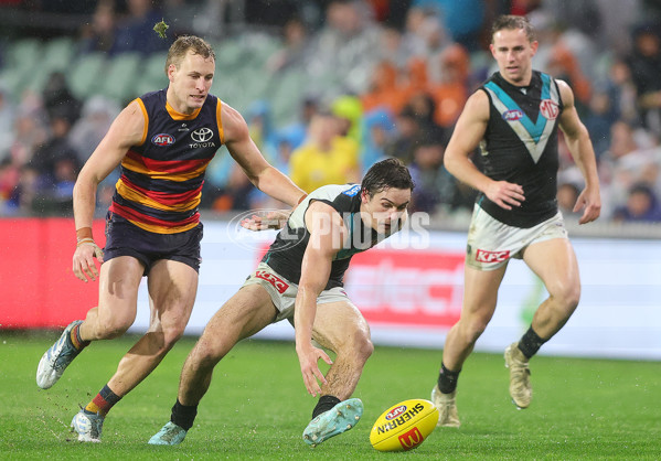 AFL 2025 Round 20 - Adelaide v Port Adelaide - A-60798221