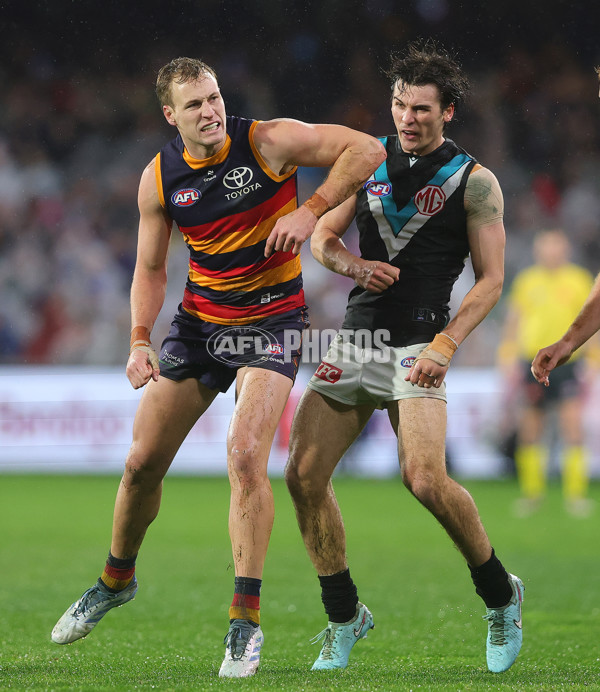 AFL 2025 Round 20 - Adelaide v Port Adelaide - A-60798226