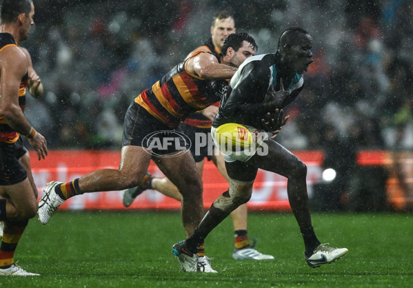 AFL 2025 Round 20 - Adelaide v Port Adelaide - A-60798228