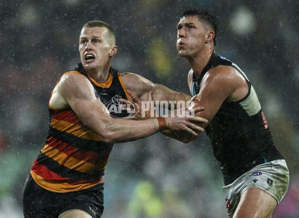AFL 2025 Round 20 - Adelaide v Port Adelaide - A-60798234