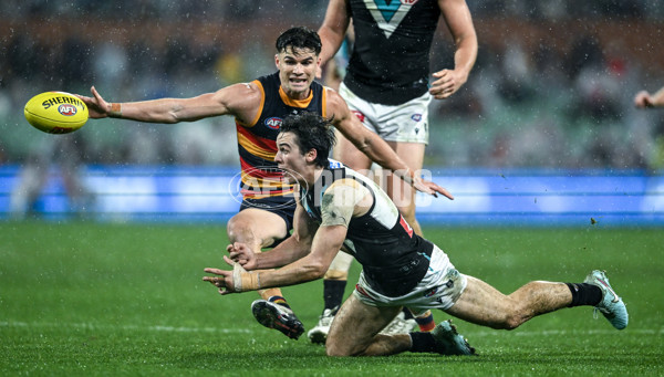 AFL 2025 Round 20 - Adelaide v Port Adelaide - A-60798241