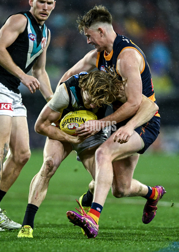 AFL 2025 Round 20 - Adelaide v Port Adelaide - A-60798255