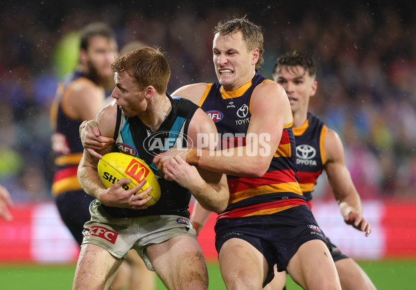 AFL 2025 Round 20 - Adelaide v Port Adelaide - A-60799077